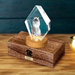 Customized Pet Ashes Urn Box with 3d Photo Crystal for Dog Memorial Gift - MACIFECI