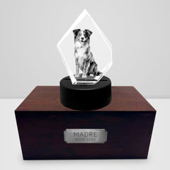 Personalized Pet Cremation Urn Set with 3D Crystal Photo for Dog Keepsakes - MACIFECI
