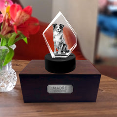 Personalized Pet Cremation Urn Set with 3D Crystal Photo for Dog Keepsakes - MACIFECI