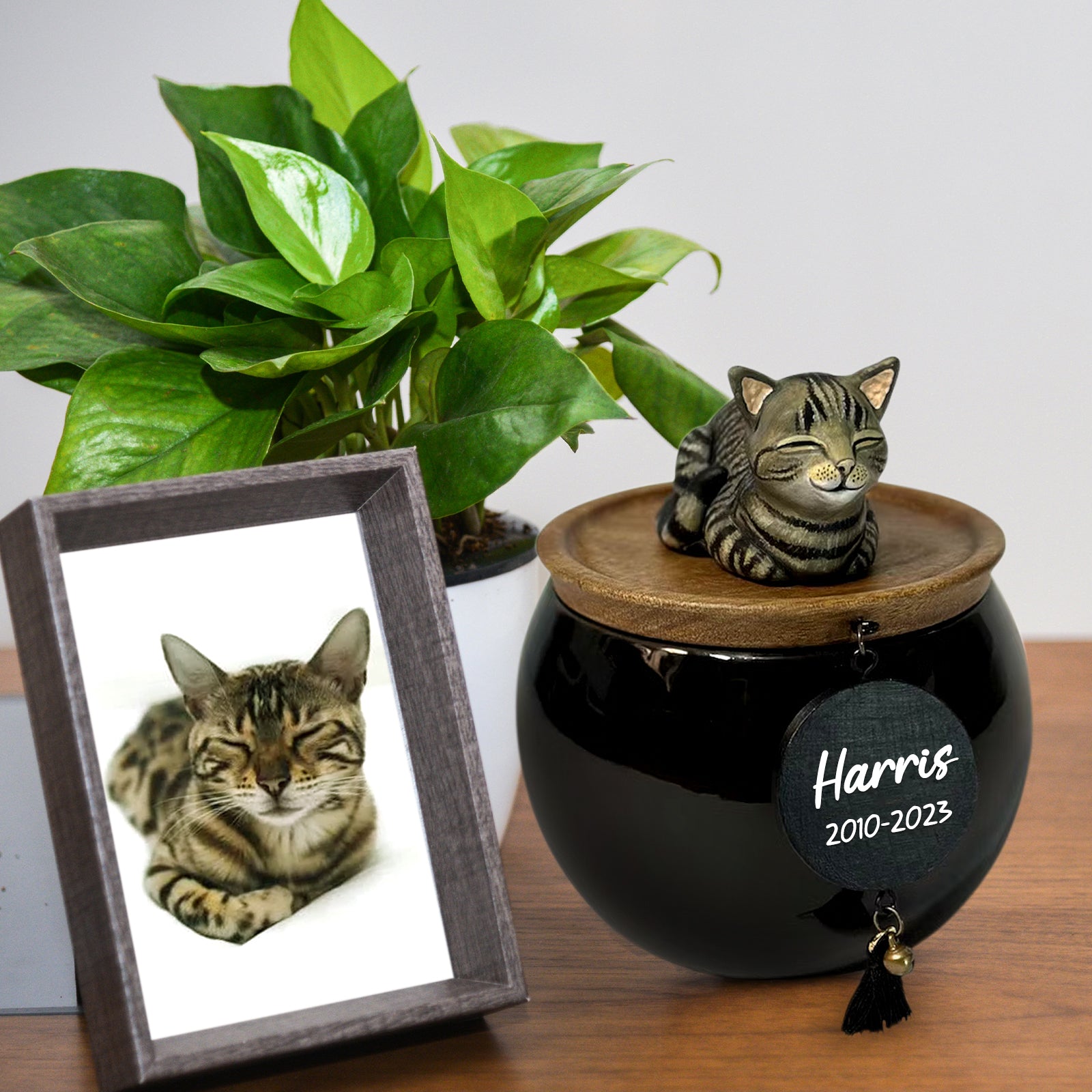 Personalized Pet Cremation Urn for Dog and Cat Ashes Custom Engraved Urn with Name - MACIFECI