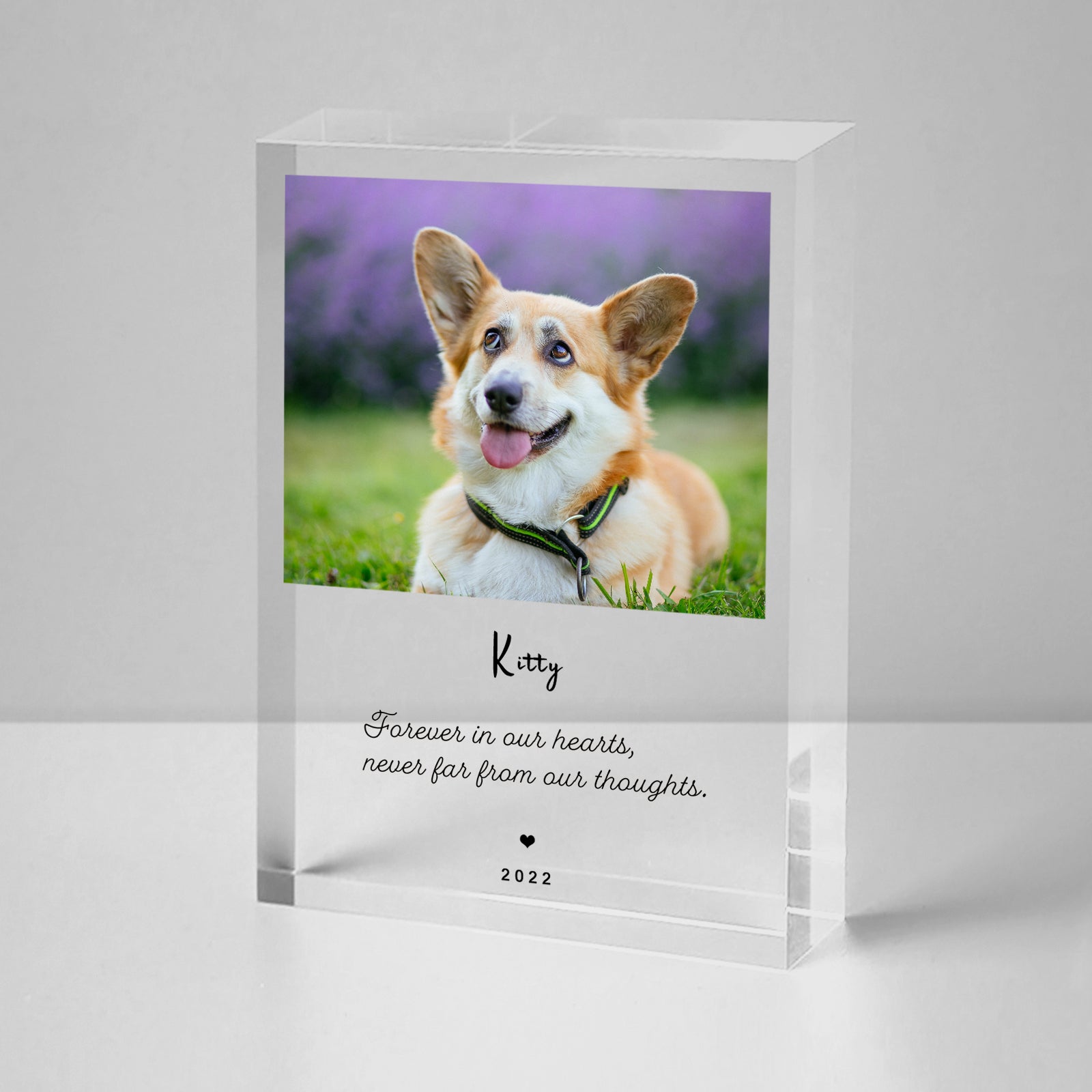 Personalized Pet Memorial Acrylic Block with Photo for Dog Remembrance Gifts - MACIFECI