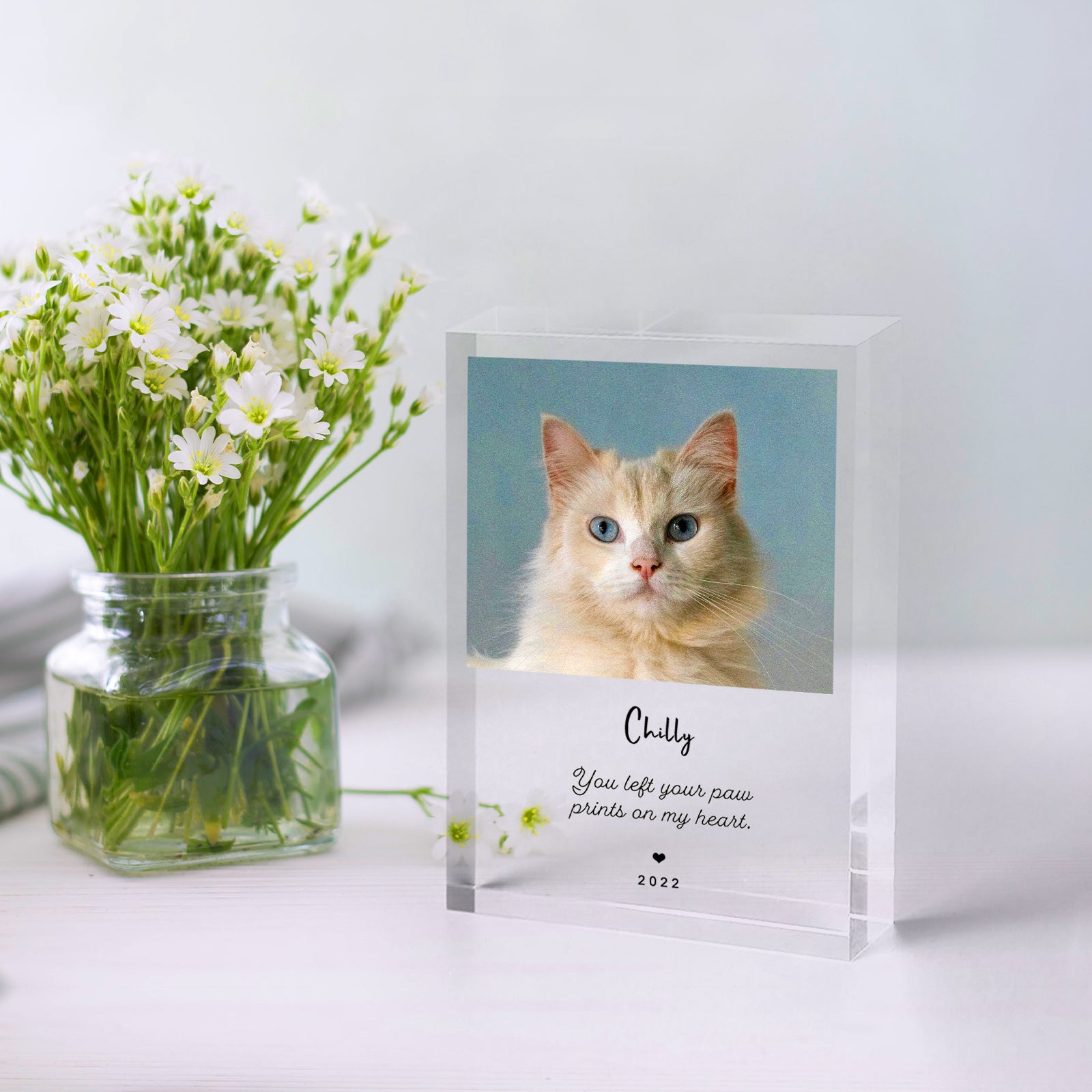 Personalized Pet Memorial Acrylic Block with Photo for Dog Remembrance Gifts - MACIFECI