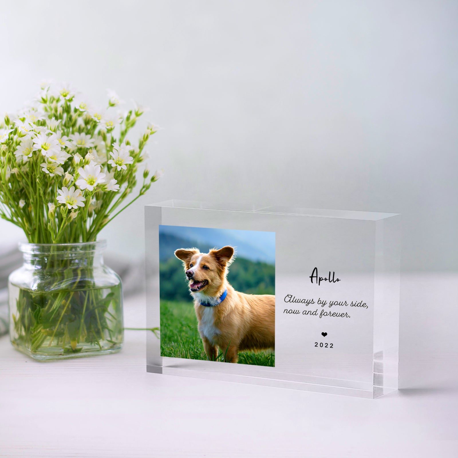 Personalized Pet Memorial Acrylic Block with Photo for Dog Remembrance Gifts - MACIFECI