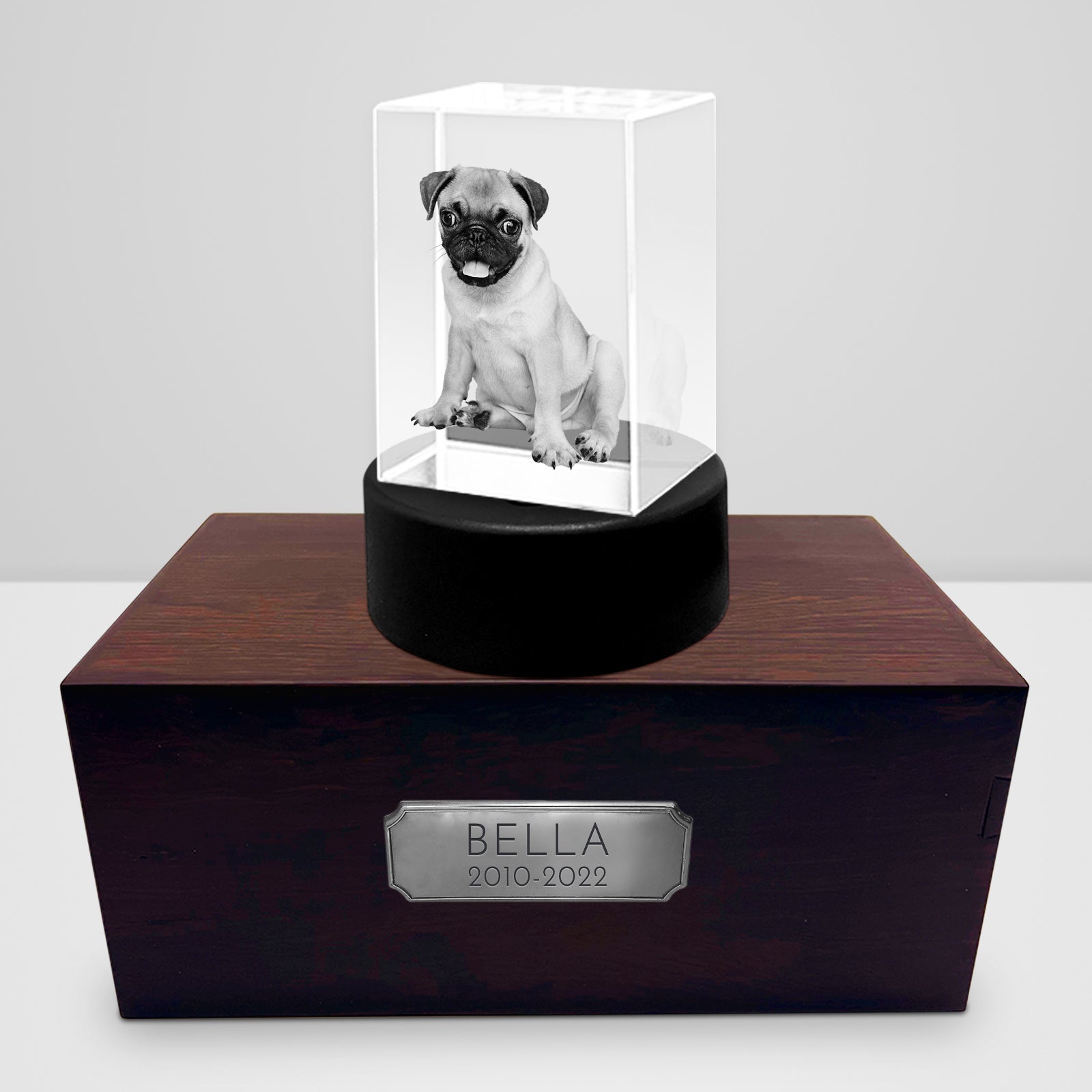 Personalized Pet Memorial Keepsake Cremation Urn with 3D Photo Crystal for Dogs & Cats - MACIFECI