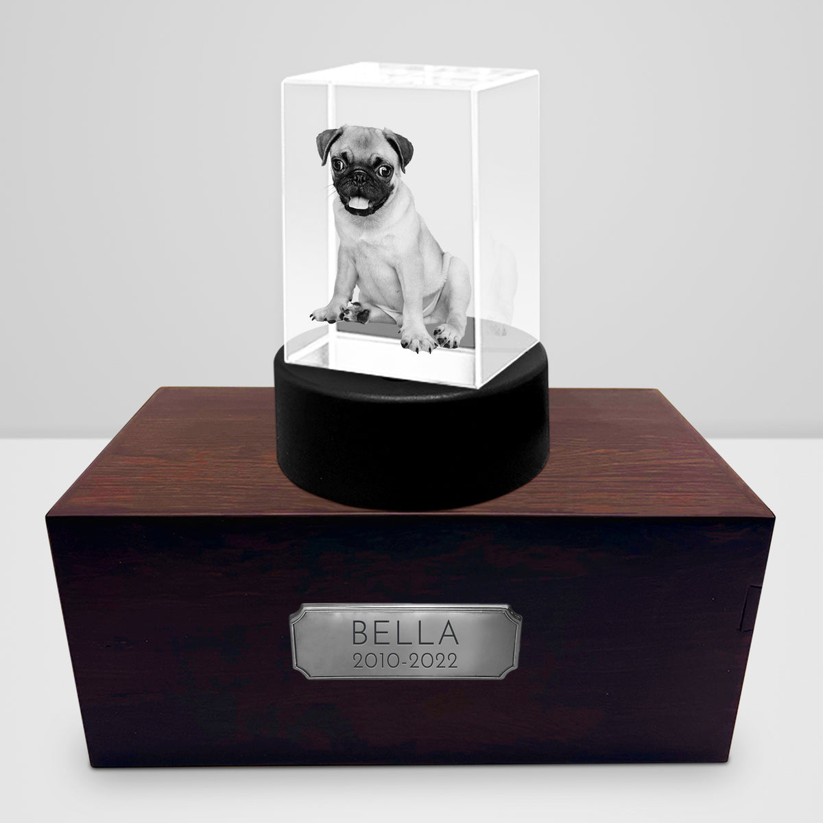 Personalized Pet Memorial Keepsake Cremation Urn with 3D Photo Crystal for Dogs & Cats - MACIFECI