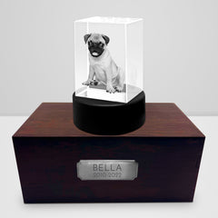Personalized Pet Memorial Keepsake Cremation Urn with 3D Photo Crystal for Dogs & Cats - MACIFECI