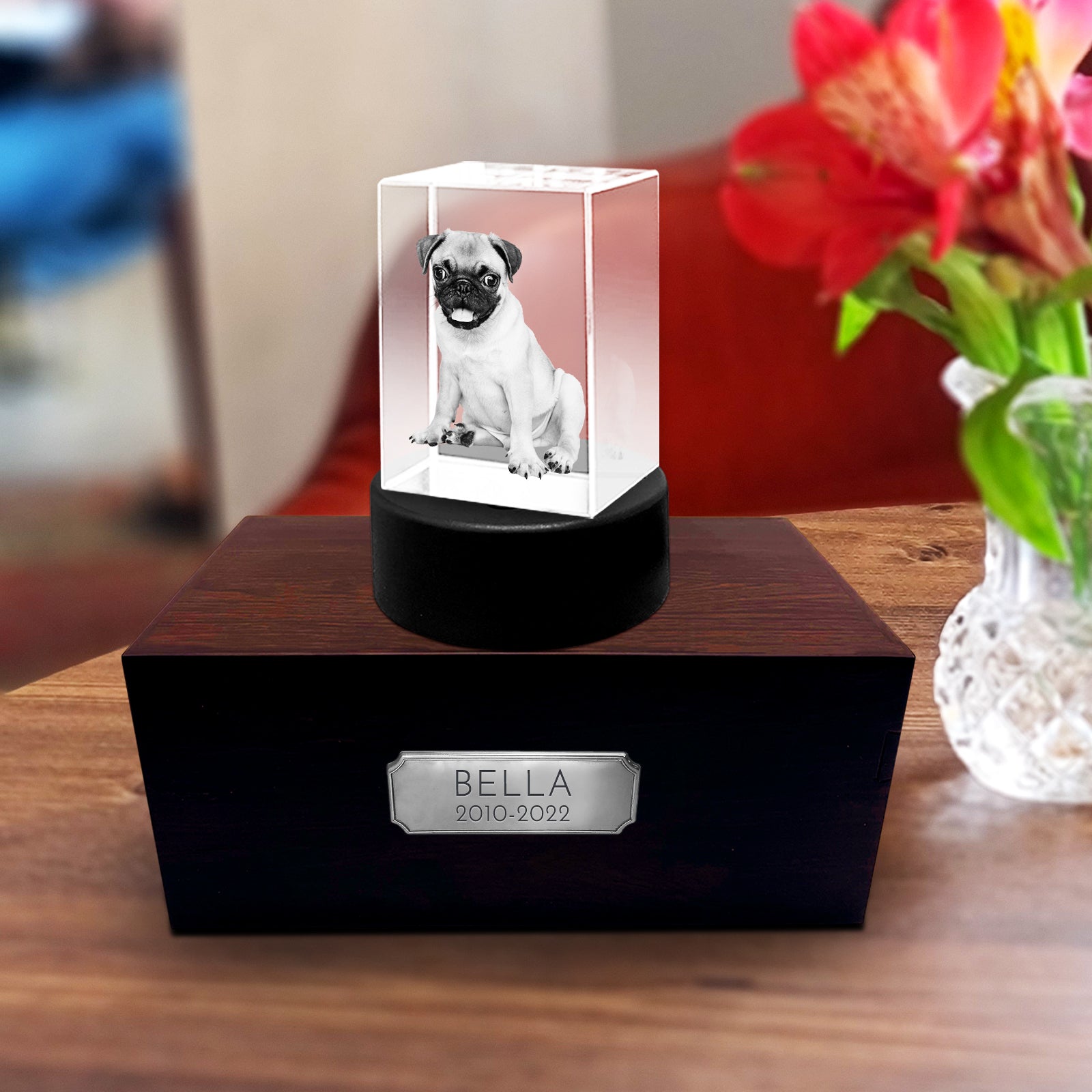 Personalized Pet Memorial Keepsake Cremation Urn with 3D Photo Crystal for Dogs & Cats - MACIFECI