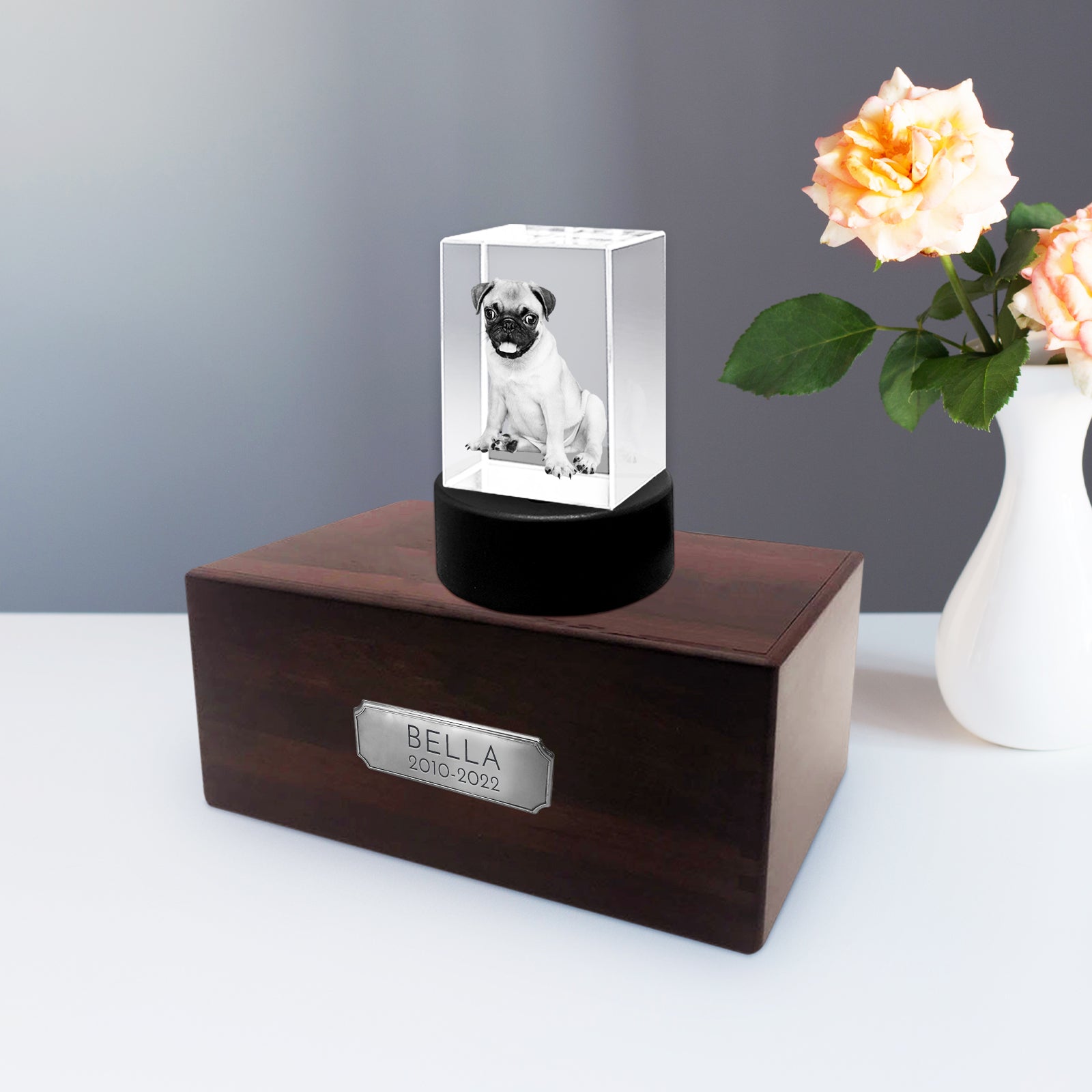 Personalized Pet Memorial Keepsake Cremation Urn with 3D Photo Crystal for Dogs & Cats - MACIFECI