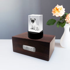 Personalized Pet Memorial Keepsake Cremation Urn with 3D Photo Crystal for Dogs & Cats - MACIFECI