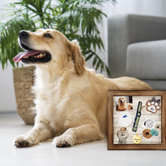 Personalized Pet Memorial Shadow Box Frame for Dog Memories - MACIFECI