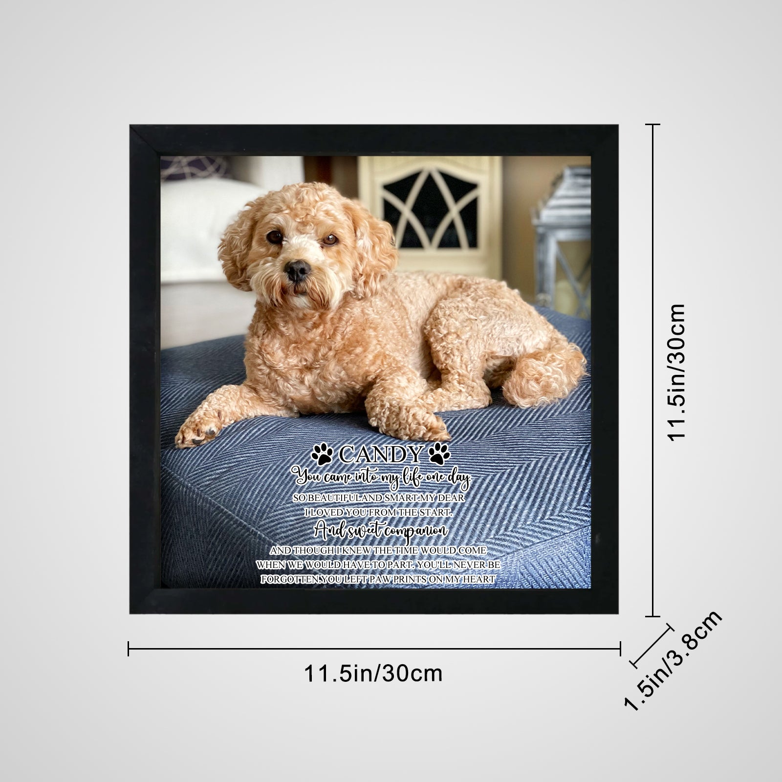 Personalized Pet Memorial Shadow Box Frame with Photo for Home Decor - MACIFECI