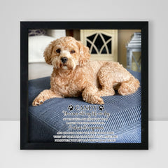 Personalized Pet Memorial Shadow Box Frame with Photo for Home Decor - MACIFECI