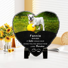 Personalized Pet Memorial Stone with Picture for Loss of Dog - MACIFECI