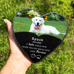 Personalized Pet Memorial Stone with Picture for Loss of Dog - MACIFECI