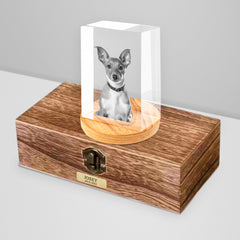 Personalized Pet Memorial Urn with Cube Crystal for Pet Loss - MACIFECI