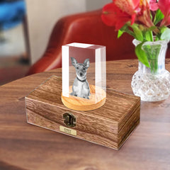 Personalized Pet Memorial Urn with Cube Crystal for Pet Loss - MACIFECI