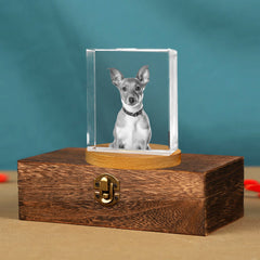 Personalized Pet Memorial Urn with Cube Crystal for Pet Loss - MACIFECI