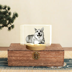 Personalized Pet Memorial Urn with Cube Crystal for Pet Loss - MACIFECI
