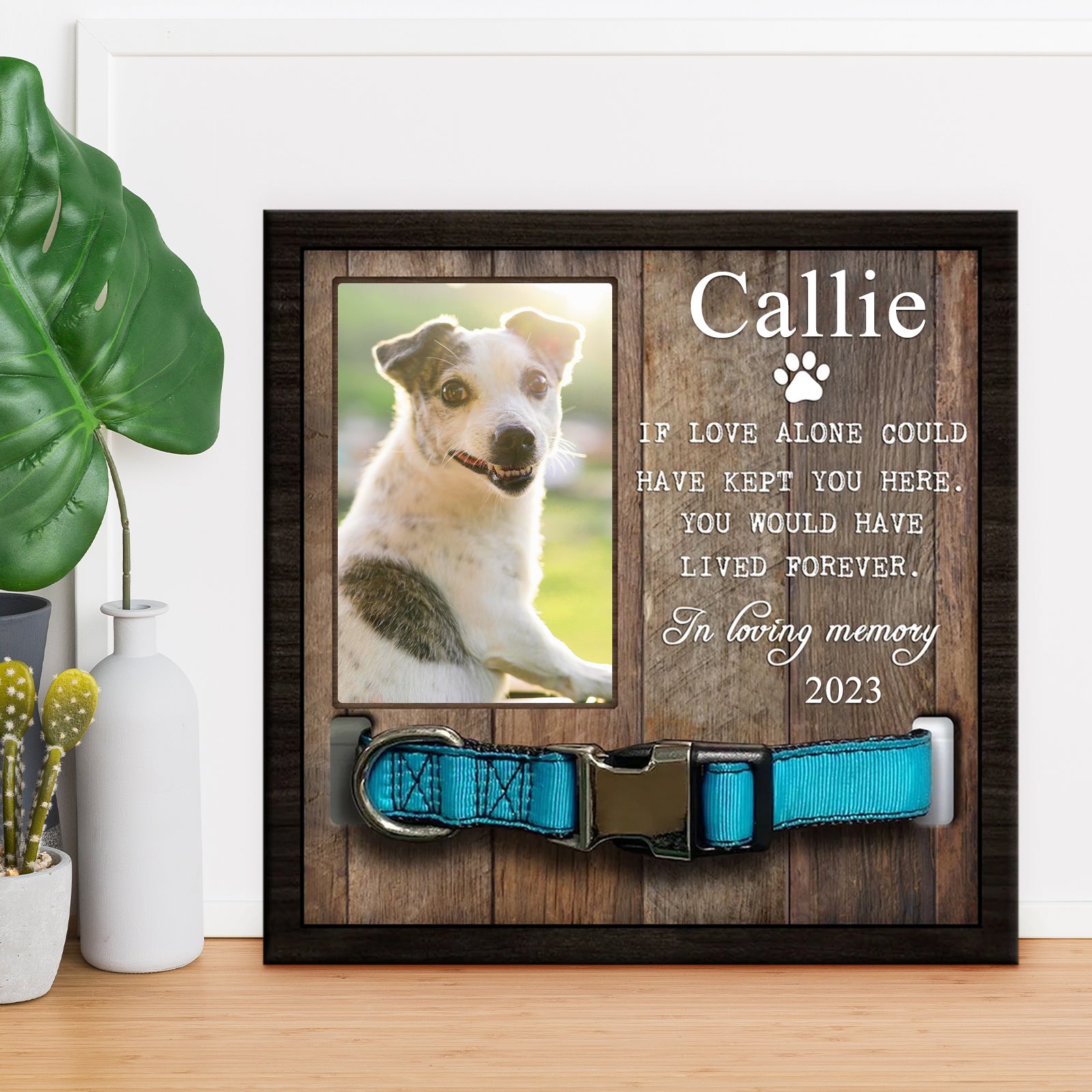 Pet Memorial Frame with Collar Personalized Dog Remembrance Gift - MACIFECI