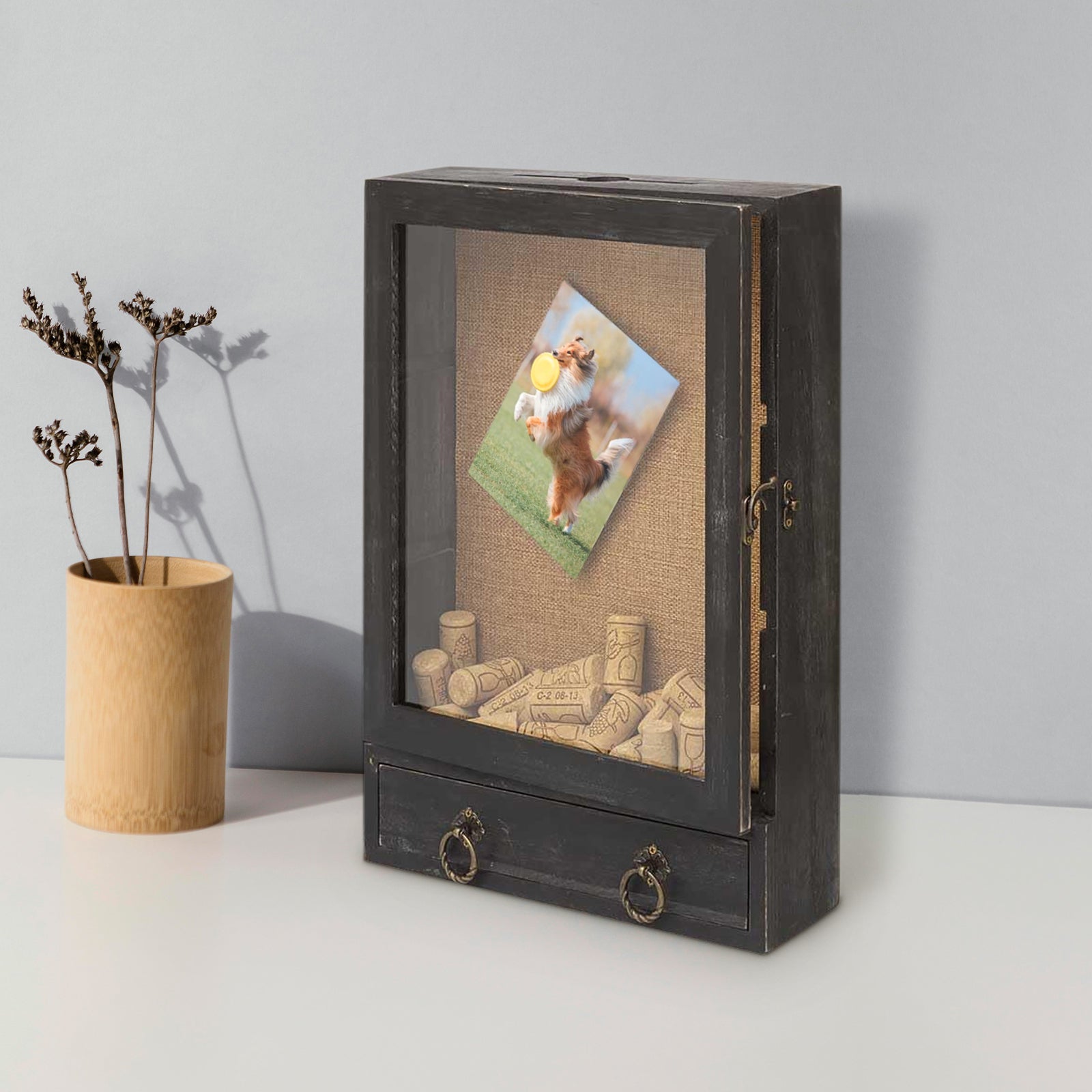 Pet Memorial Shadow Box Perfect for Collars, Ashes, Paw Prints - MACIFECI